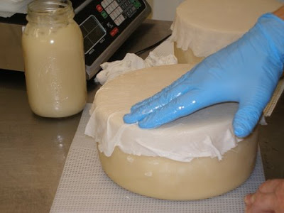 Як підготувати сир до дозрівання, технологія домашнього сироваріння в питаннях і відповідях, сирний будинок