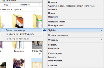 Cum se utilizează înregistrarea, instalarea și configurarea onedrive (skydrive), partea 9223372036854775746