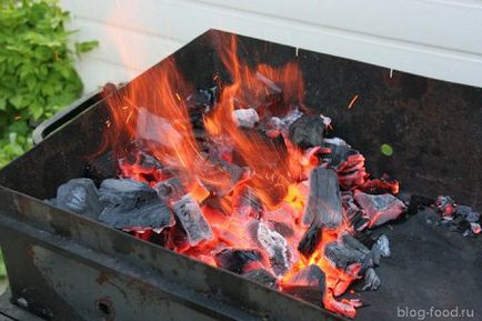 Как да се възпламени въглищата - влезте онлайн приложение - bayanay