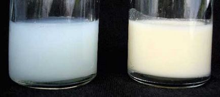 Cum să păstrați laptele matern exprimat într-o sticlă în frigider și fără ea