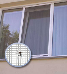 Cum să comandați corect ferestrele - daniil master - o rețea de saloane de ferestre