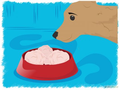 Cum să faci alimente pentru câini la domiciliu