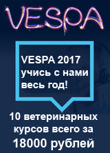 Як переконатися в тому, що ваша кішка здорова