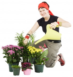 Як утримувати вологу в квітковому горщику, ради садівникові