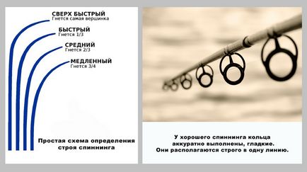 Як вибрати спінінг для лову щуки - лад вудилища, ваговій тест і матеріал вудилища спінінгів