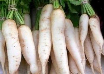 Cum se păstrează daikon, diverse moduri, sfaturi pentru grădinari