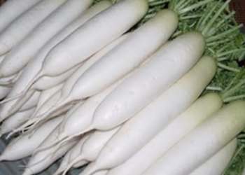 Cum se păstrează daikon, diverse moduri, sfaturi pentru grădinari