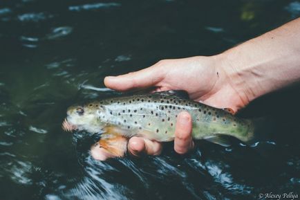 Clubul pescarilor din Karelian