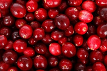 Cranberry sau viburnum, care este mai bine