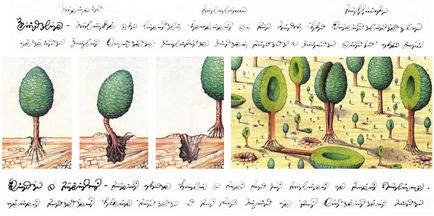 Codex seraphini (codex seraphinianus) - almanah paranormal