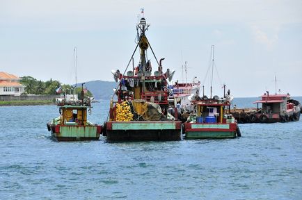 Kota Kinabalu - capitala statului Sabah