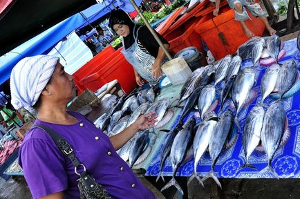 Kota Kinabalu - capitala statului Sabah