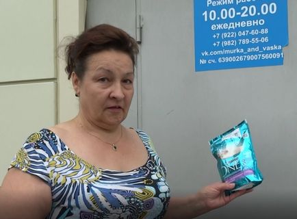 Kotovasiya în adăpost Tyumen pentru pisici și kotokafe au fost în centrul scandalului