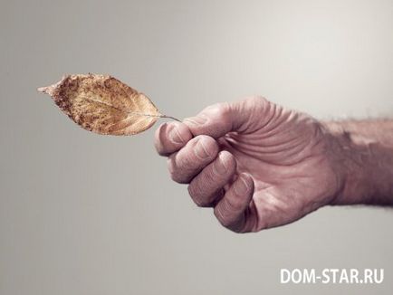 Bolile de piele ale persoanelor în vârstă și senile (Pielea vârstnică) Bolile de piele ale vârstei vârstnice și a vârstei senile