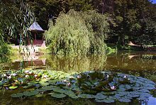 Arboretum Krasnokutsky