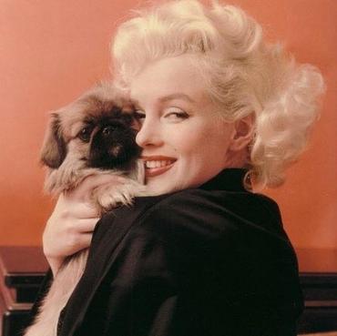 Cine și de ce a ucis-o pe Marilyn Monroe