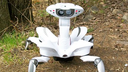 Cumpărați crab robot wowwee roboquad în magazinul oficial online