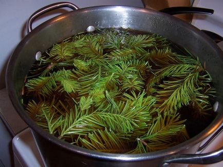 Лікування атеросклерозу народними засобами (головний мозок, кінцівки)