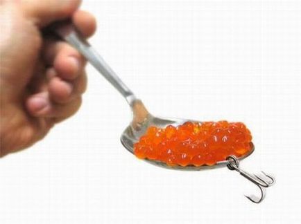 Pescuitul pentru caviarul roșu