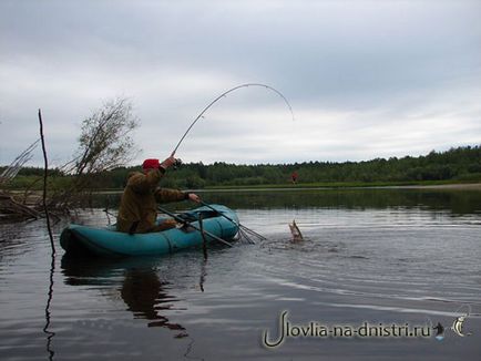 Pike halászat az úszó, úszó rúd fogása csuka