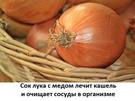 Лук з медом рецепт від кашлю - корисні властивості і протипоказання, сайт про методи лікування докторів