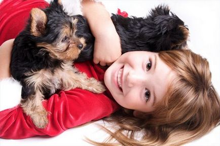 Rase mici de câini pentru copii