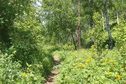 Traseul zilei libere este o mare traseu de la Baikal, articole, un club de călători, turism în Irkutsk