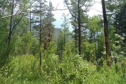 Маршрут вихідного дня велика байкальська стежка, статті, клуб мандрівників, туризм в Іркутську