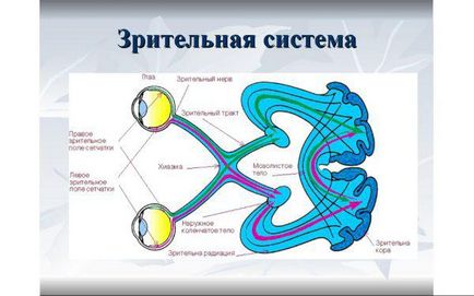 Монокулярний зір що це таке, лікування пов'язками диплопии, зорових аберації, відблисків