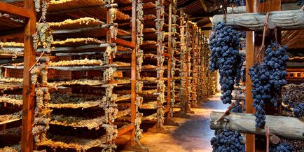 Montepulciano italia atracții, vin, cum să obțineți, unde să stați