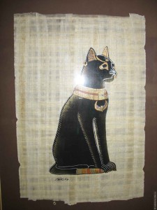 Музей кішок в Шауляй, ще раз про кішок
