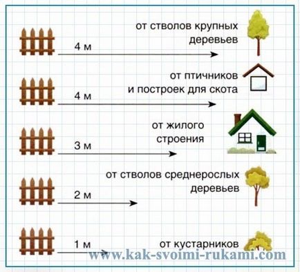 На якій відстані від сусідської ділянки можна садити дерева