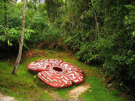 Parcul național Kinabalu, o lume interesantă de călătorie, turism, psihologie, știință, tehnologie,