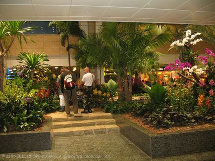 Kinabalu National Park, érdekes világ utazás, turizmus, a pszichológia, a tudomány, a technológia,