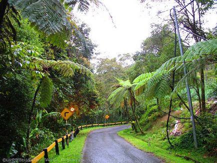 Kinabalu National Park, érdekes világ utazás, turizmus, a pszichológia, a tudomány, a technológia,