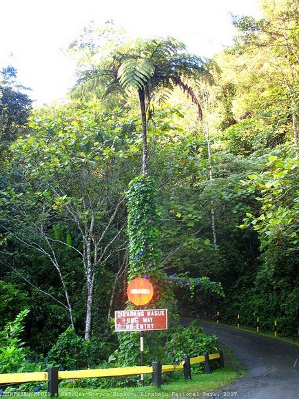 Kinabalu National Park, érdekes világ utazás, turizmus, a pszichológia, a tudomány, a technológia,