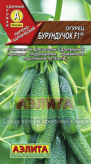 Cucumber chipmunk f1® cumpără semințe de castraveți en gros și cu amănuntul de la producător