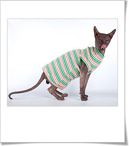 A cégről kotomoda - ruhák macskáknak