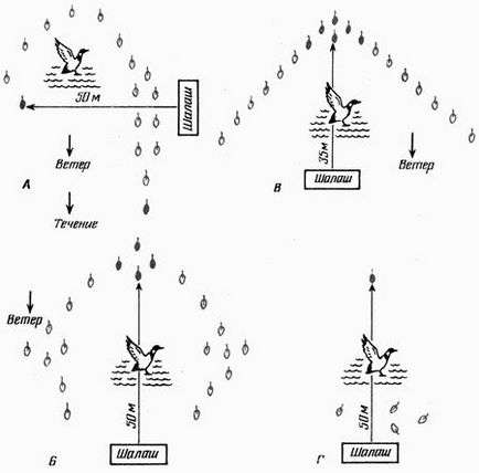 Полювання на качку восени з опудалами, скрадок для полювання, розстановка опудал