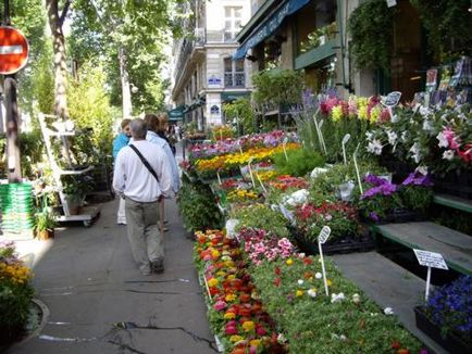Париж в кольорі, або замітки мандрівника - ландшафтний дизайн своїми руками