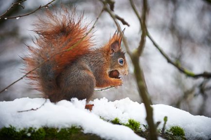 Parcări în care puteți alimenta proteina