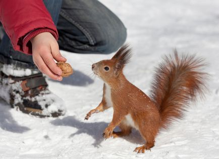 Parcări în care puteți alimenta proteina