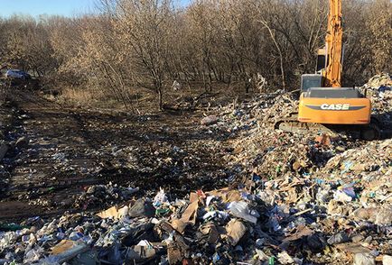 Парк Коломенське в Москві може бути закритий через недотримання санітарних норм суспільство росія