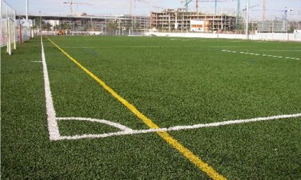 Virágokkal beültetett terület, sport, mór és más típusú gyep, hogy az előnyök és követelmények gondozás (sport) Virágokkal beültetett terület, sport, mór és más típusú gyep, hogy az előnyök és követelmények gondozás