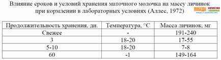 Бджолине маточне молочко - перемога якість здоров'я - лікувальні властивості, застосування