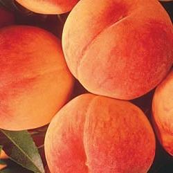 Персиковий колір особливо актуальний навесні