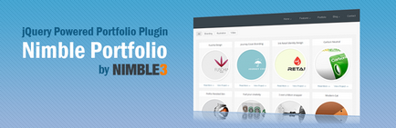 Plugin-uri de portofoliu pentru wordpress în portugheză, portofoliul fotografului