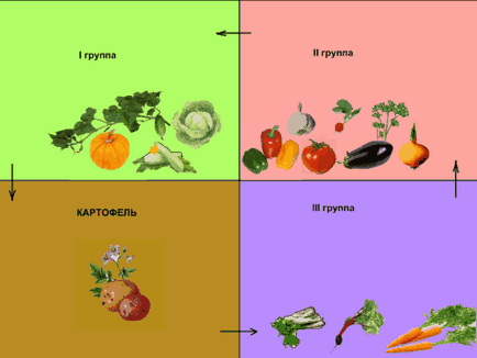 Planificarea rotației culturilor de plantare a culturilor