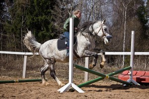 De ce calul se poticnește după salt