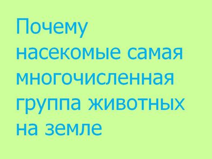 Чому комахи найчисленніша група тварин на землі - презентація 138082-9